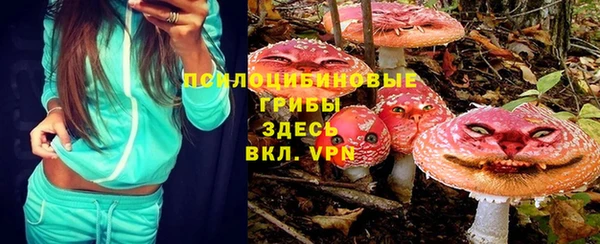 стаф Абинск